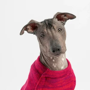 Fashion Fur Pets - Mia Dog Sweater - Red
